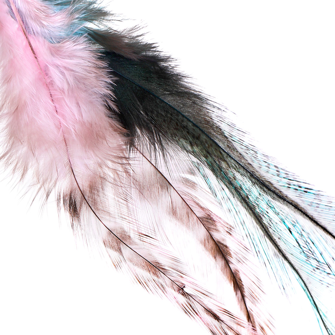 P-25389_Whiting-CDL-Predator-Pack_detail