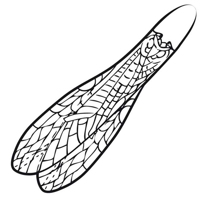 P-27705_Pro_Sportfisher_Adult_Stonefly_Wings_