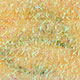 fluorescent peach