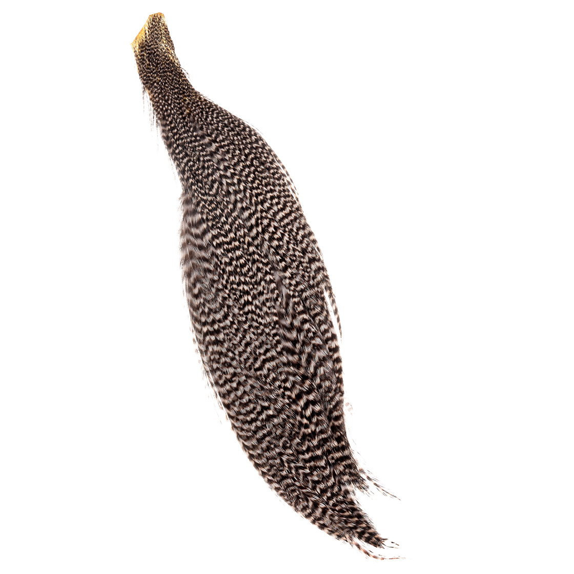 P-12918-5_Wapsi-Ewing-Half-Grizzly-Rooster-Dryfly-Capes_natural-grizzly natural grizzly