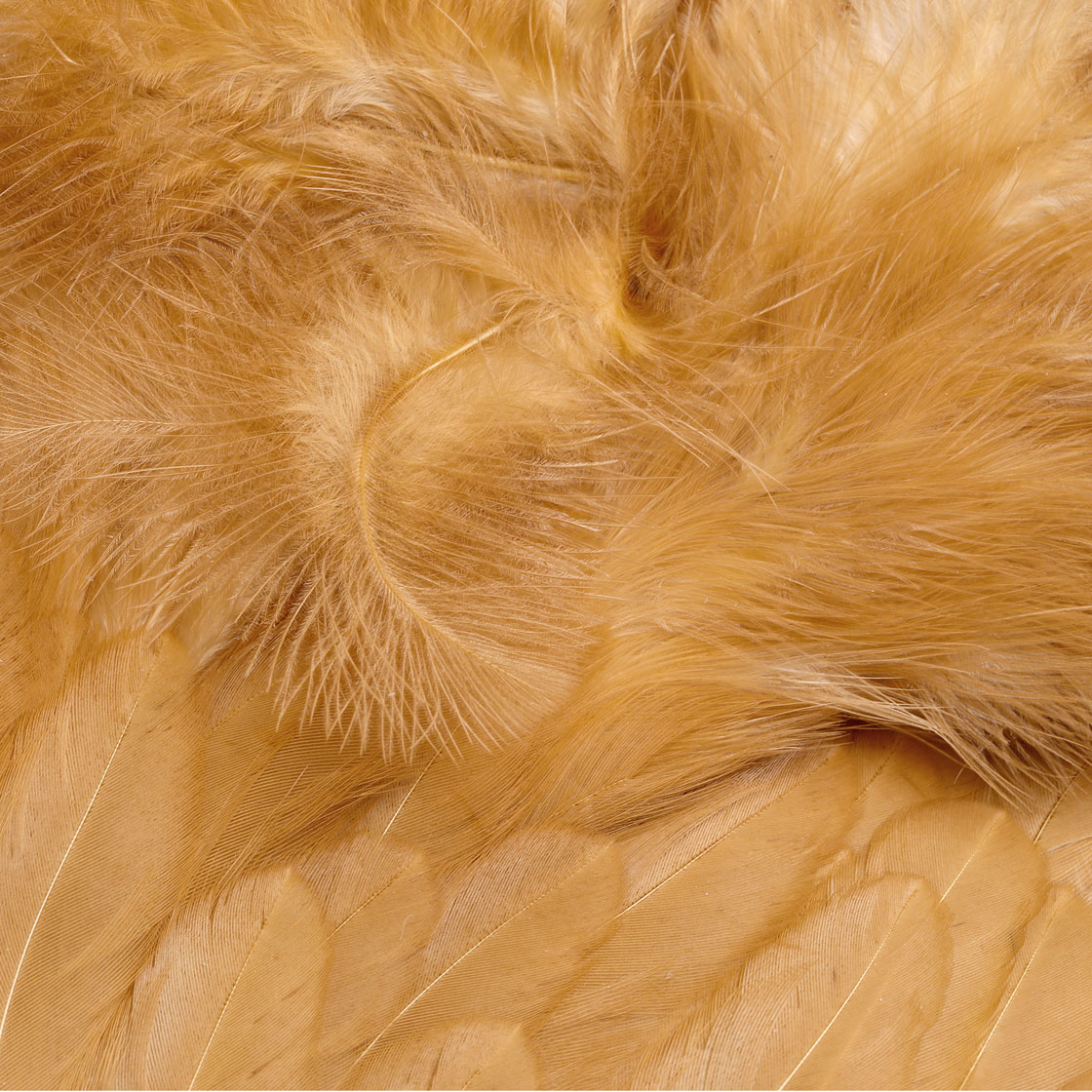 P-25432_Whiting-Rooster-SH-C_detail_4