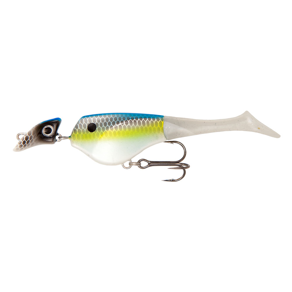 Sexy Shad