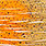 24 pumpkin/orange