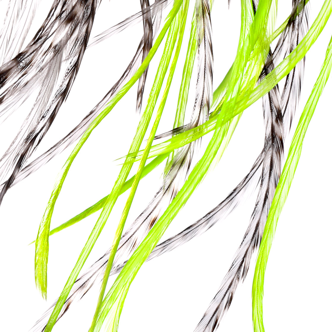 P-25409_Whiting-100-Pk-Size-12_detail_2