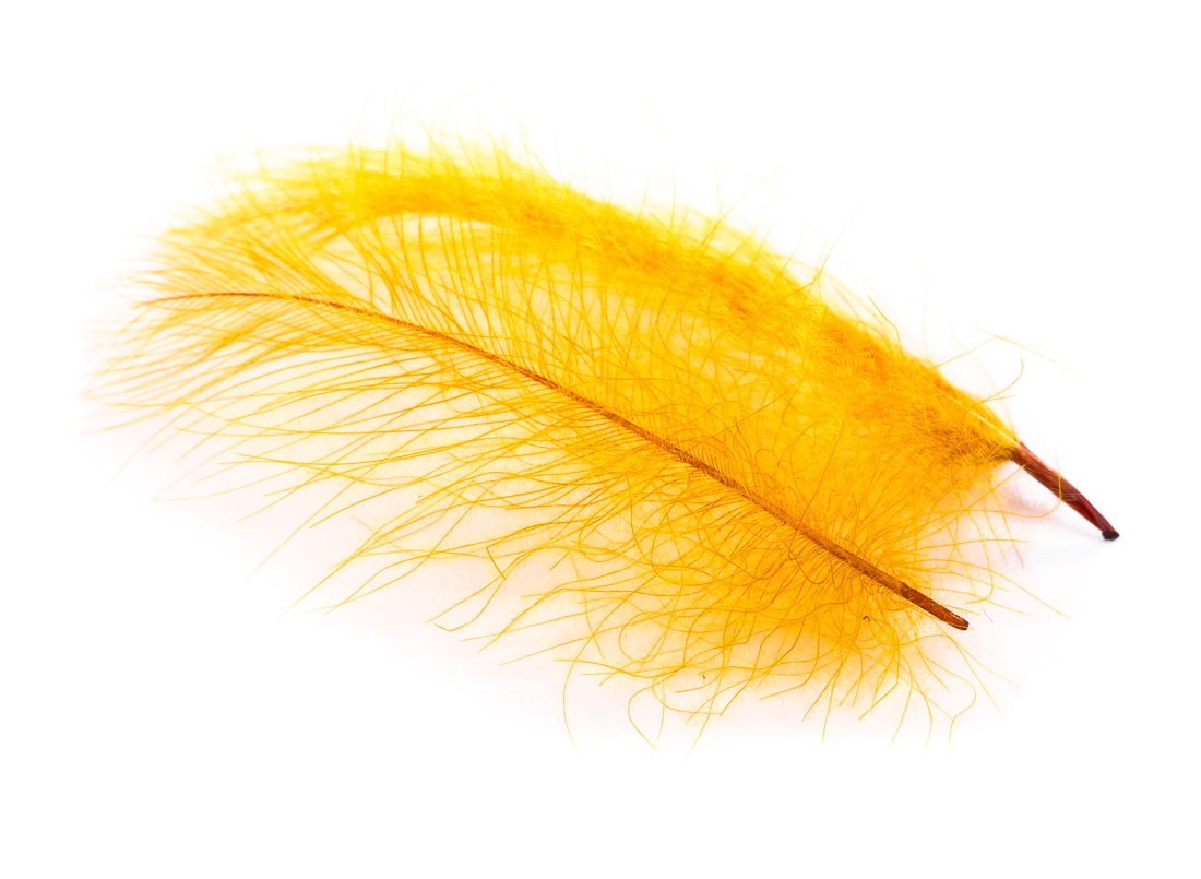 03366-hends-cdc-selected-20-Bearbeitet 20 ochre