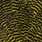 grizzly yellow
