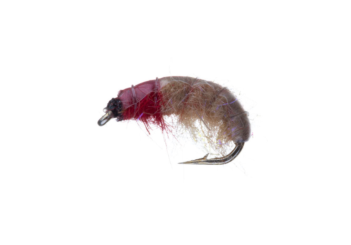 Kami Flies Nymph - Czech Nymph red tan