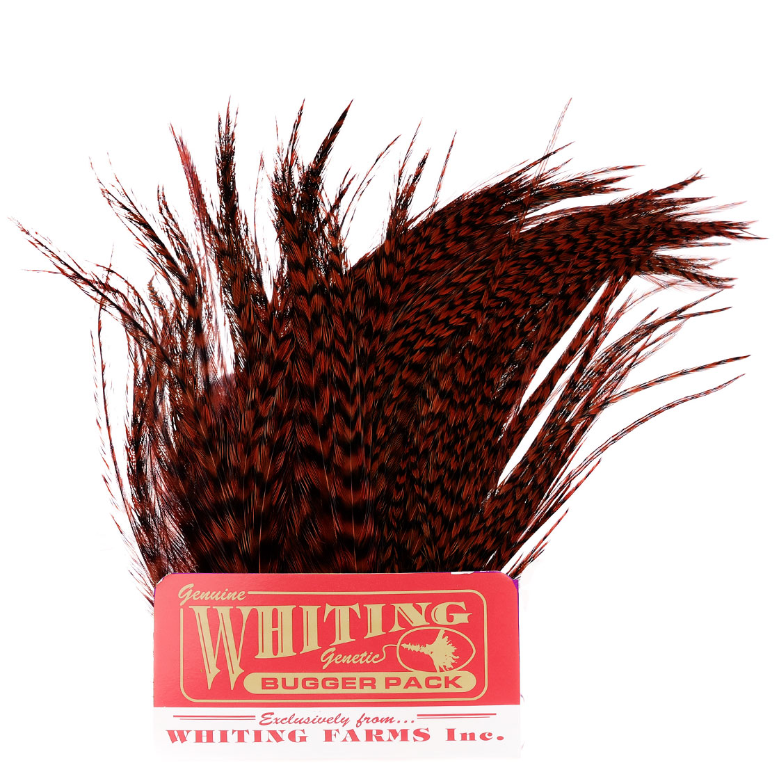 P-28071-_whiting_bugger-pack_grizzly-dyed-coachman-brown grizzly dyed coachman brown