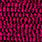 fuchsia / black