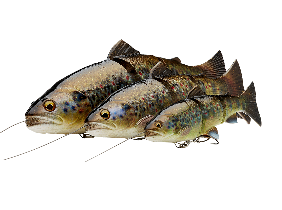 Savage Gear 4D Line Thru Trout sinking