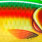 bright parrot
