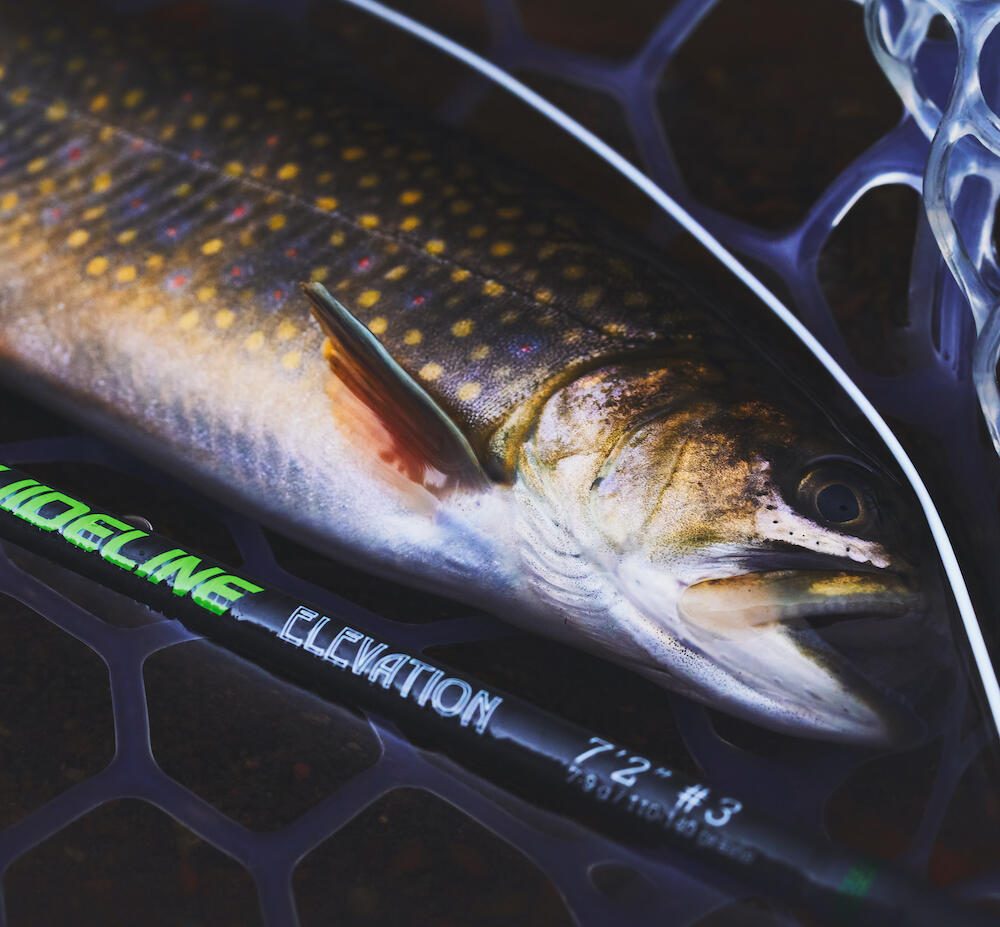 P-25279_Guideline_Elevation_BRook_