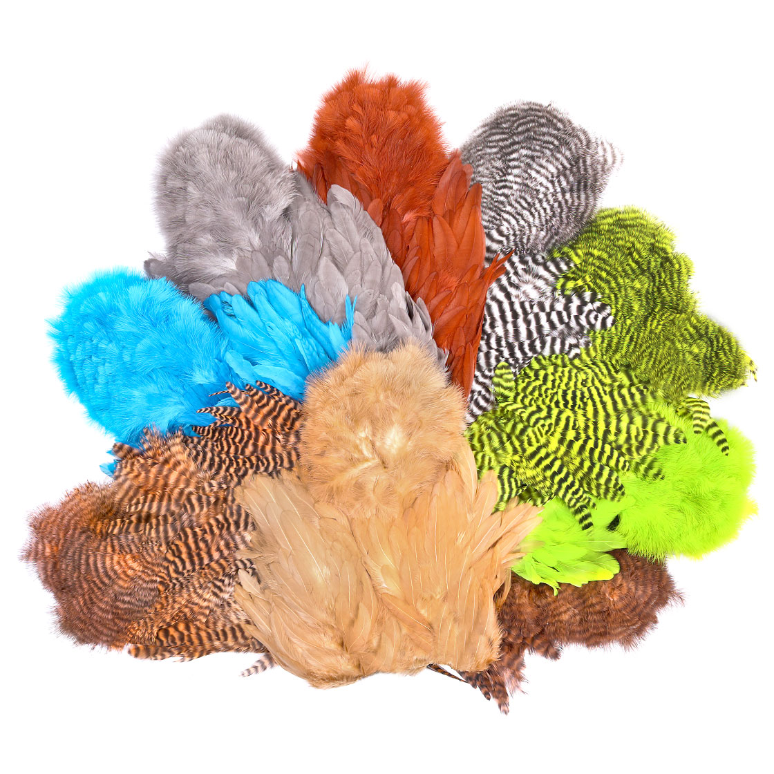 P-25432_Whiting-Rooster-SH-C_titel_1 Whiting Rooster SH/C