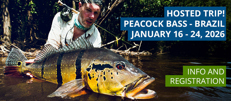 Hosted Trip to Brazil, January 2026: Info here