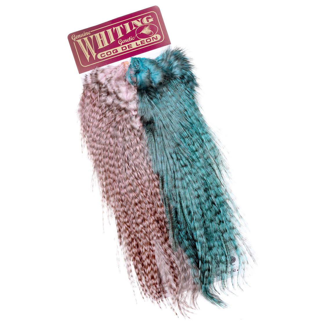 Shell Pink / Silver Blue