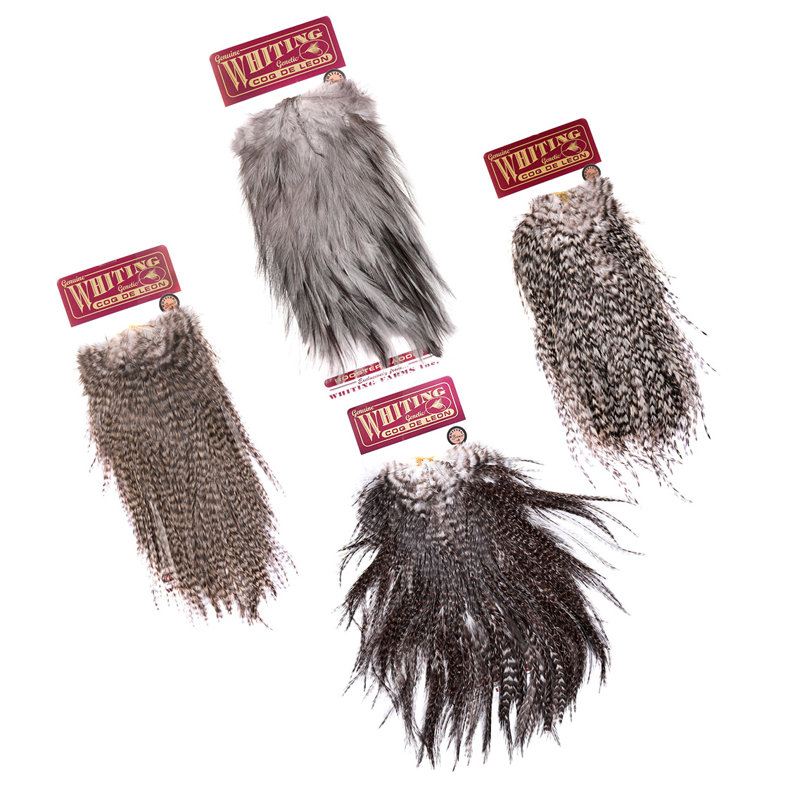 P-25395_Whiting-Coq-de-Leon-Saddle-Bronze_titel-neu Whiting Coq de Leon Saddle Bronze