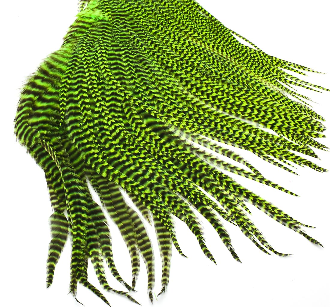 fluo chartreuse