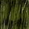 grey olive 07