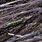 m016 eel