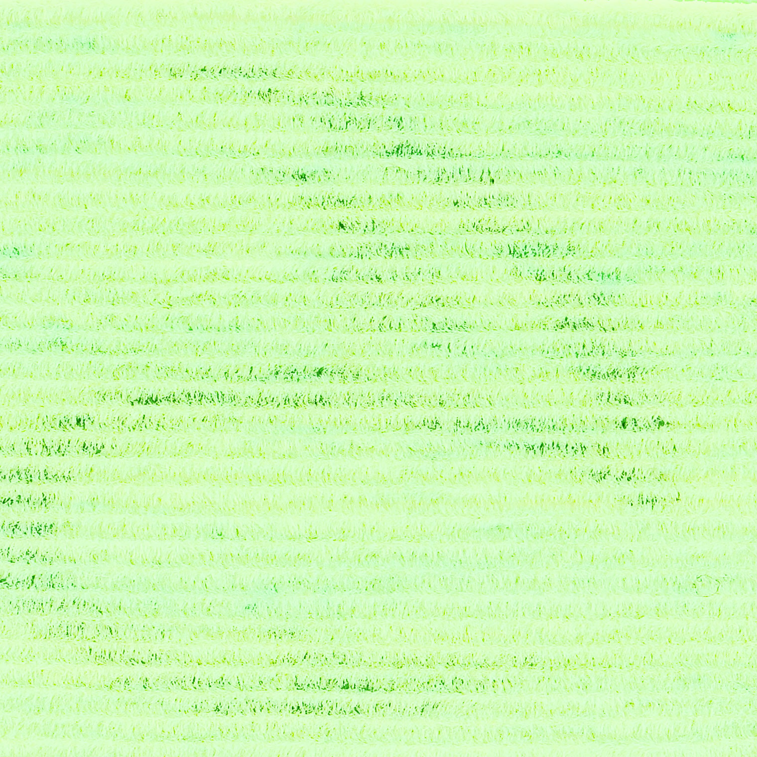 fluo lemonade