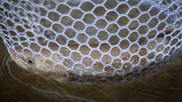 Schnelles und schonendes Landen im Netz! Fast and gentle with a net!