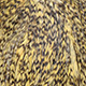 grizzly dyed pale yellow