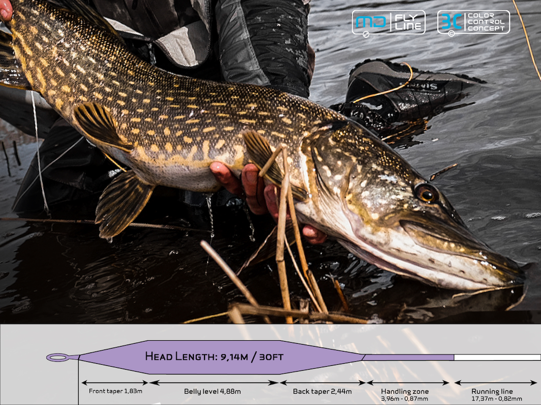 Arcticsilver_MD_Compact_Beast_TaperXhikuGeHkM3Rx