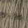 medium olive 14