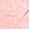 114 salmon / pink lt