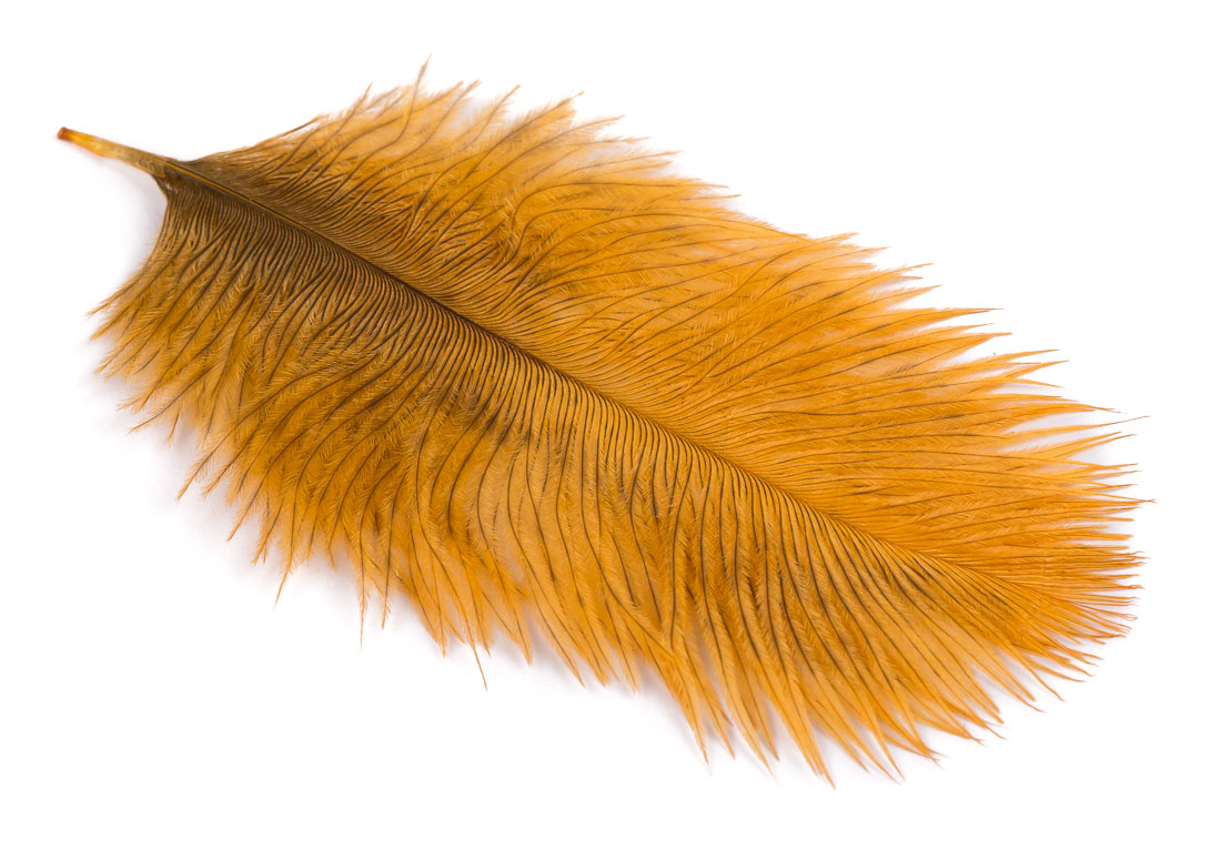 wapsi-ostricht-marabou-amber amber