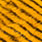 003 tiger yellow