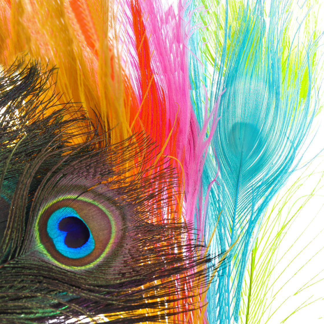 Frödin Flies SNS Peacock Eye Feathers 