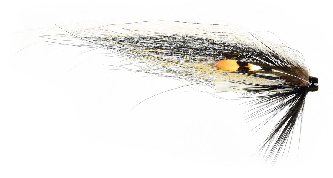 fr-din_flies_hitch_fly_zebra