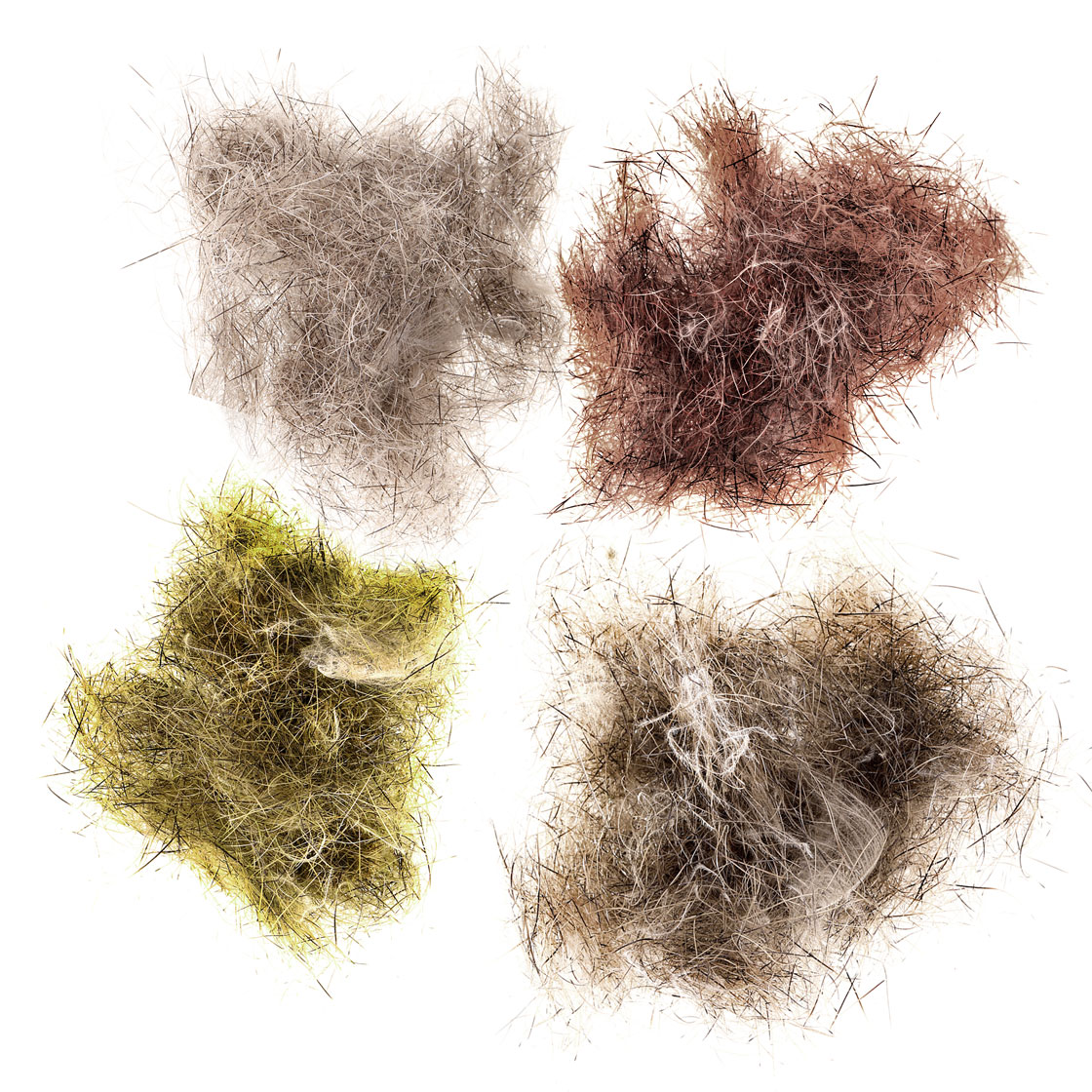 P-17426_soldarini_alpine-hares-fur_cdc_plus_titel Soldarini Alpine Hare's Fur CDC Plus