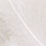 02 white