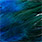 peacock blue