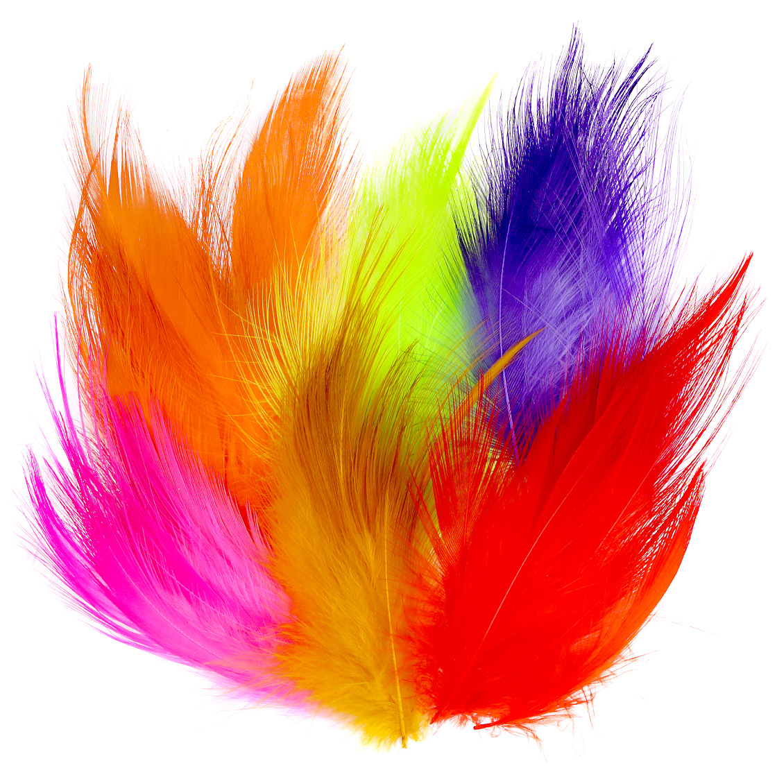 P-29164_Frodin-SNS-Spey-Hackles-Egret-Heron-Federn Frödin SNS Spey Hackles Egret Heron Feathers