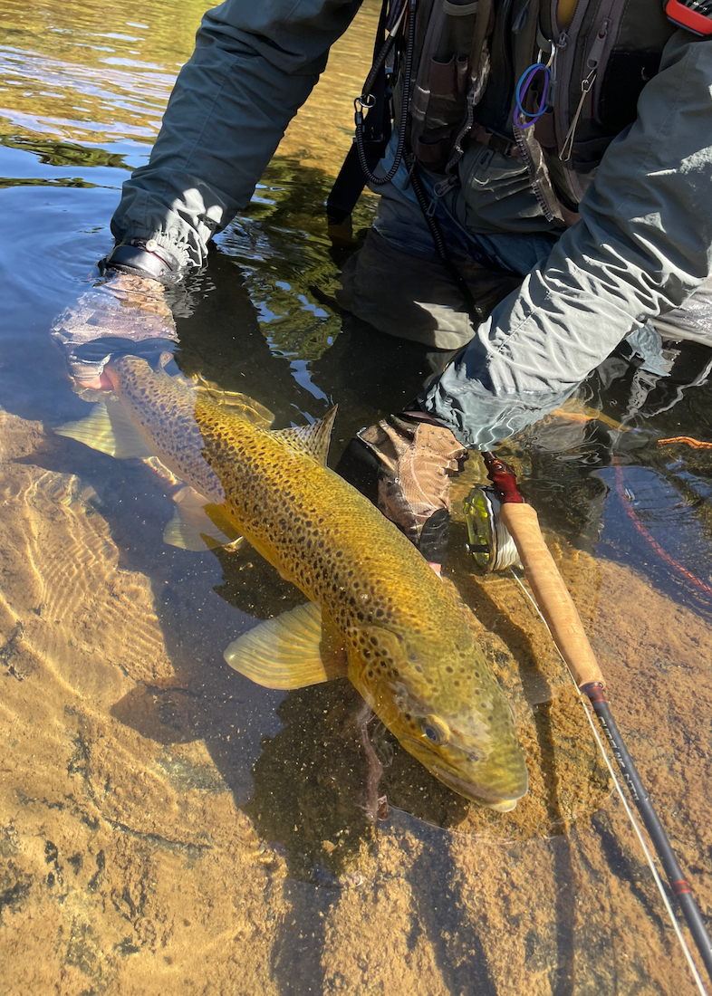 P-23757_guideline_NT11_Einhand_Fliegenrute_Trout_Series_2