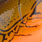 pumpkin craw II