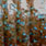 cinnamon blue flake #34