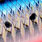 mazume sardine