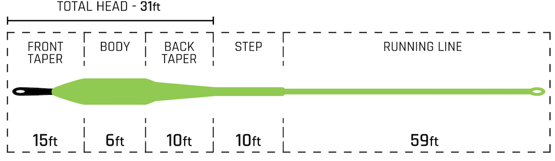 P-28509_Cortland_streamer_Floating_Sink_Tip_Fliegenschnur_15ft_2