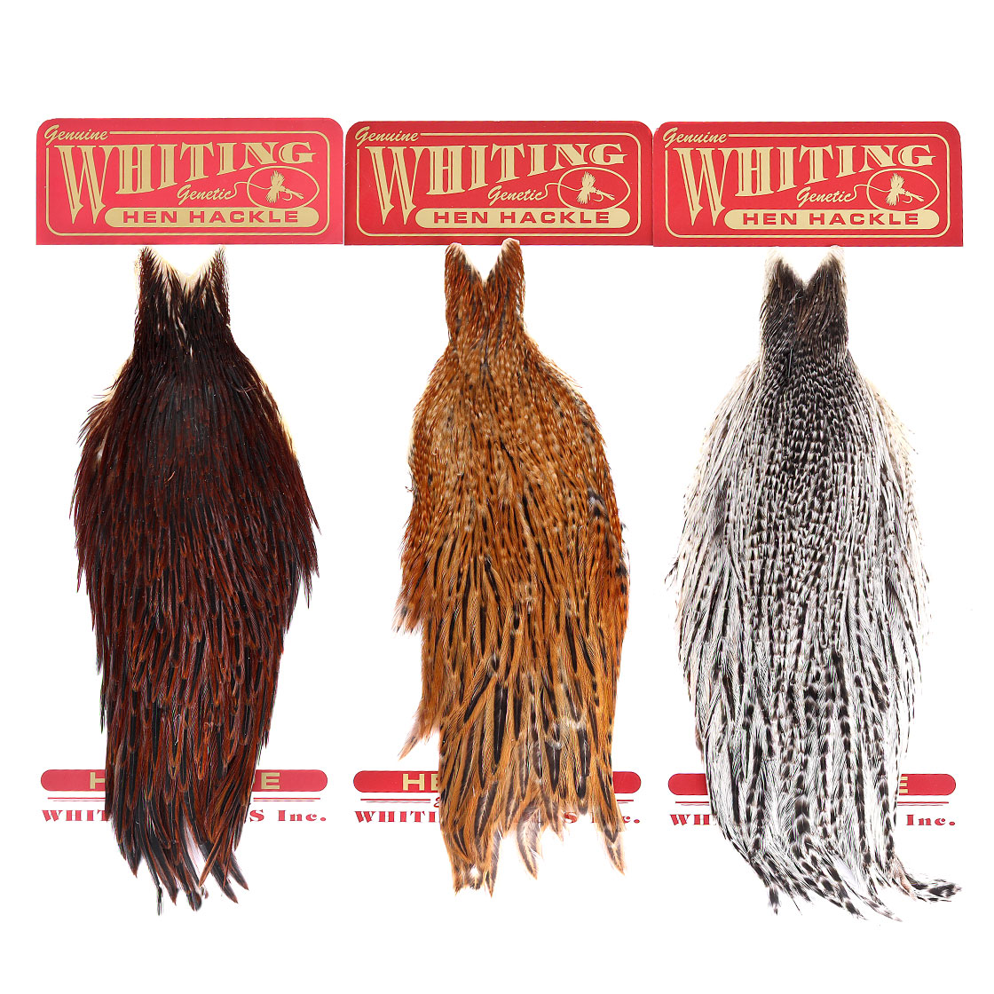 P-25423_Whiting-Hen-Cape_titel Whiting Hen Cape