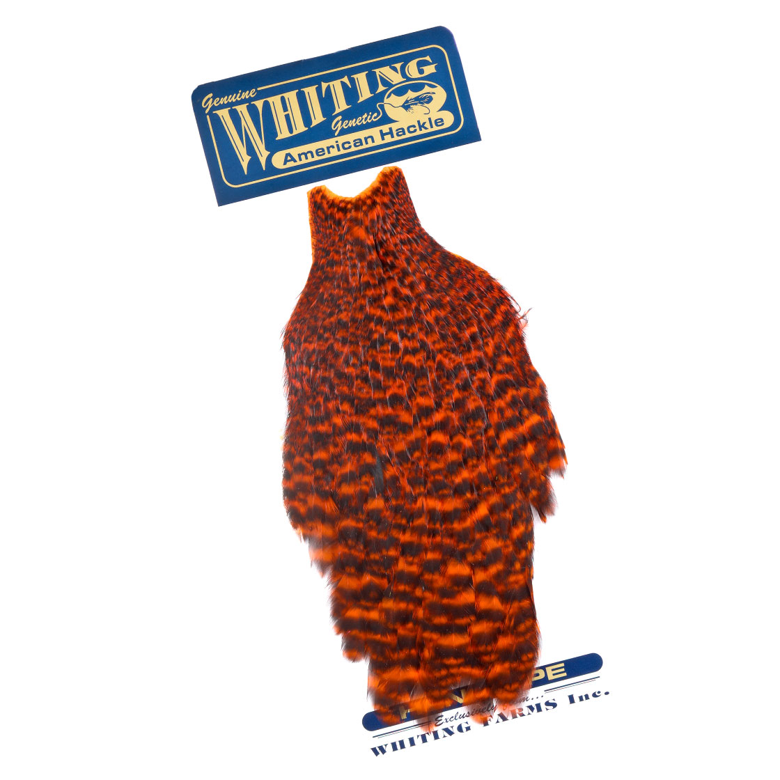 P-25377-13_Whiting-American-Hen-Cape_grizzly-dyed-orange grizzly dyed orange