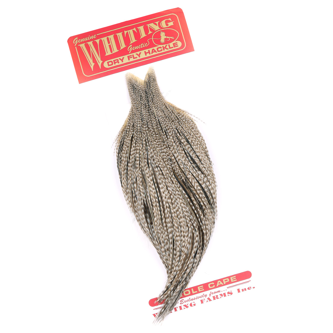 P-29042-6_Whiting-Commercial-Cape_dun-grizzly dun grizzly