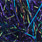 411 blue / violet