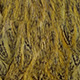 speckled dyed olive