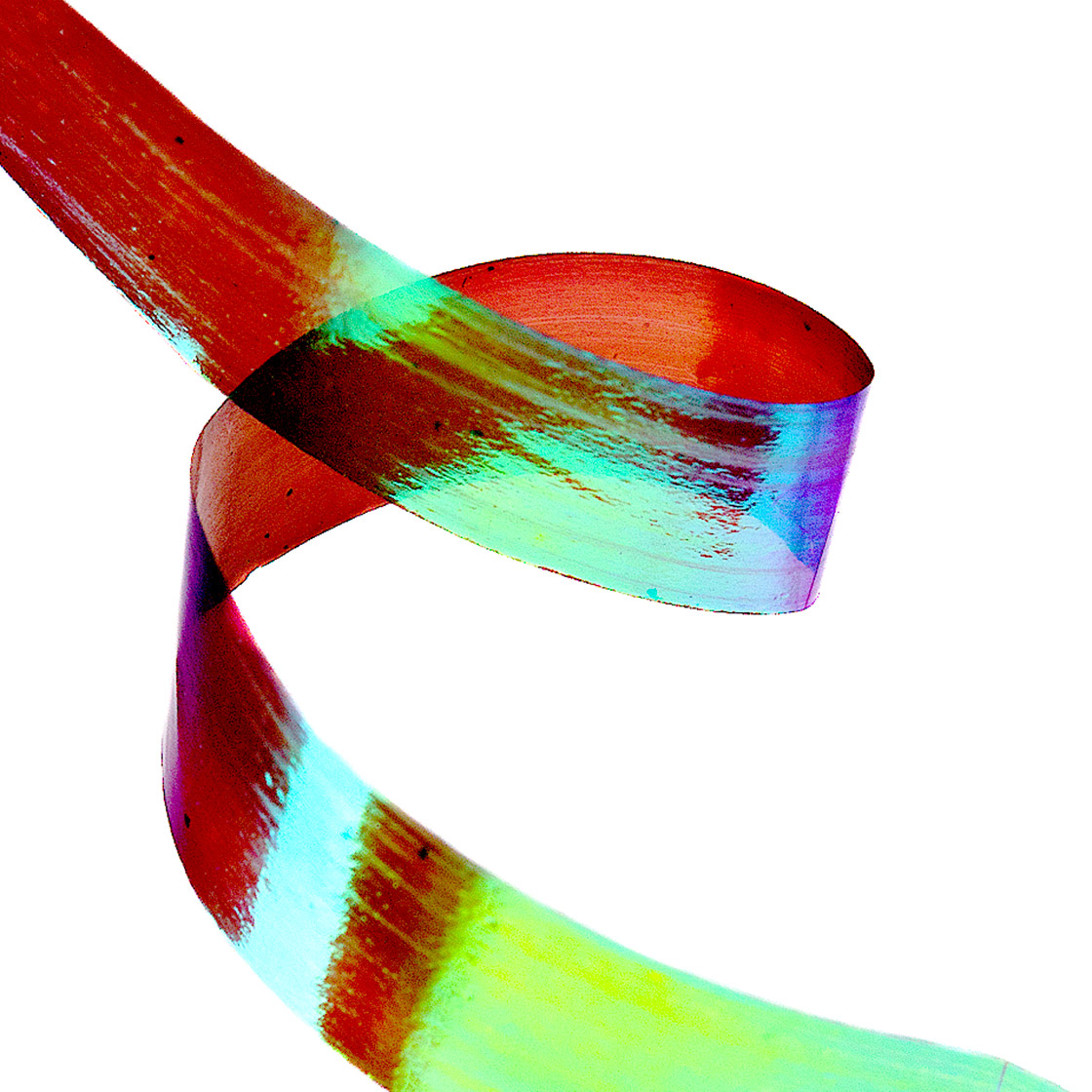 03443-Hends-Shell-Back-Titel-neu-2 Hends Shell Back