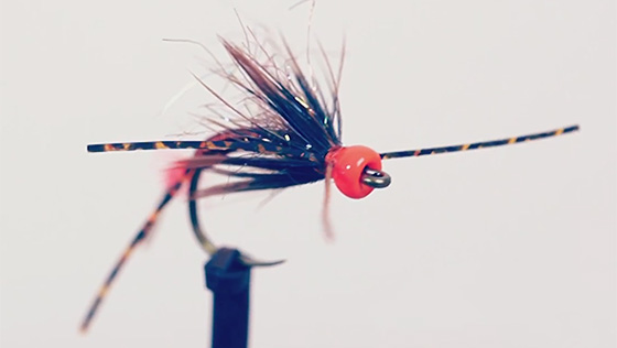 Fly Tying Video: Red Head Nymph