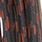 barred black orange